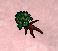 mandrakeroot.JPG