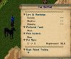 Two Slot Void Mare.jpg