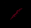 WAVE.png