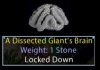 brain.jpg