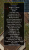 auction armor 4.png