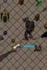 ratman.jpg