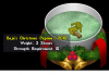 Baja's Christmas Pajama's 2010.png Baja's Christmas Pajama's 2010.png