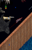 halberd 1.png