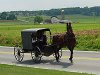 200px-Lancaster_County_Amish_03.jpg