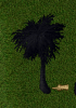 palm.png