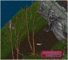 Gov Meeting dragon1.jpg