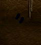 shoes2.png