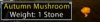 mush.jpg