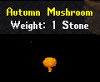 mushroom.png