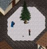 VesperTree2.JPG