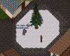 Vespertree3.JPG