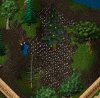 trinsictree3.JPG