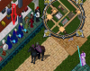 Blue Robe Rares.png