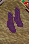 upload_2017-12-12_23-27-15.png
