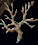 event.PNG