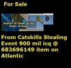 124catsss.jpg