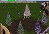 BeautifulTrees.jpg