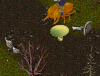 Pxies Secret.PNG