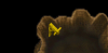 Coathanger.png