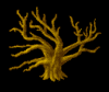 treeoflove.png
