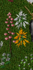 upload_2018-4-6_21-2-0.png