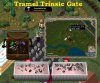 Trinsic Gate Shop.jpg