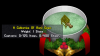 Collection of Rare Gems 1.png Collection of Rare Gems 1.png