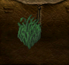 waterplant.PNG waterplant.PNG