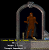 Phoenixboots.png