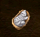 cat.png cat.png