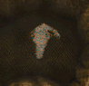 1d5e1f8622e7f90b0bce9ea3a63a2111.png