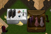 new items.PNG