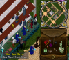 new items.png
