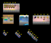 holidayboxes.png holidayboxes.png