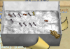 Key 13.png