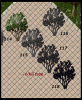 rubble N114-N118a.png rubble N114-N118a.png
