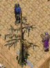 upload_2018-8-31_13-9-49.png upload_2018-8-31_13-9-49.png