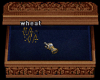 upload_2018-9-1_6-58-5.png