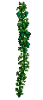 Hops_Plant_(South).png
