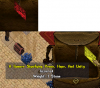 Event Item.png