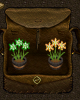 Potted amaryllis.PNG