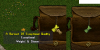 Green surcoat X quality.PNG