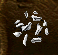 enslaver.png