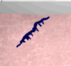 wave.png