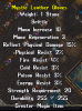 loot 12 mystic leather gloves.png