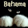 BahamaMama