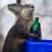 Malicious Otter