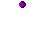 Image of A Candied Snowplum
