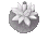 Image of Lunar Lily